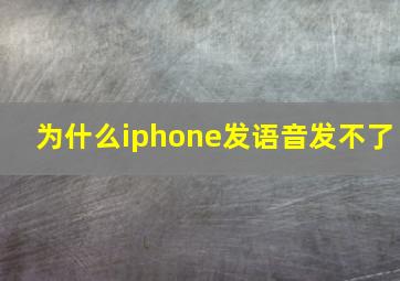 为什么iphone发语音发不了