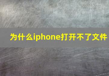 为什么iphone打开不了文件