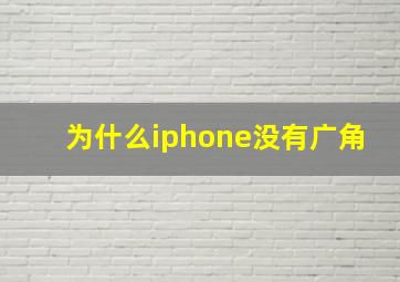 为什么iphone没有广角