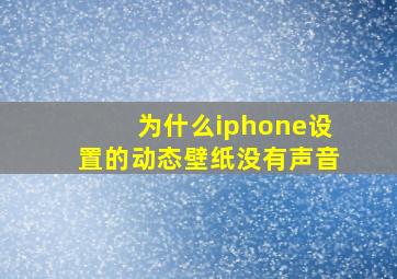 为什么iphone设置的动态壁纸没有声音