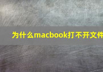 为什么macbook打不开文件