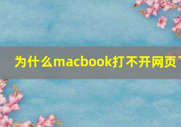 为什么macbook打不开网页了