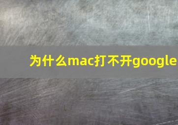 为什么mac打不开google