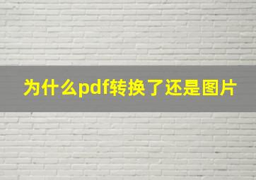 为什么pdf转换了还是图片