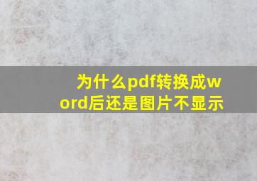 为什么pdf转换成word后还是图片不显示