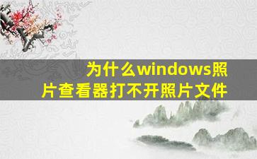 为什么windows照片查看器打不开照片文件