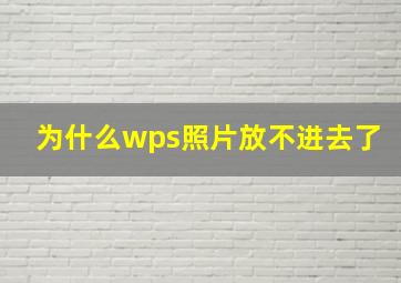 为什么wps照片放不进去了