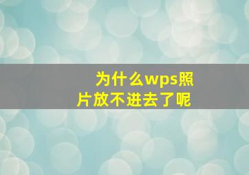 为什么wps照片放不进去了呢