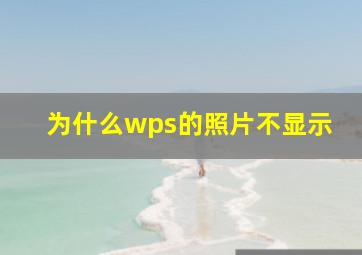 为什么wps的照片不显示