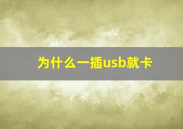 为什么一插usb就卡