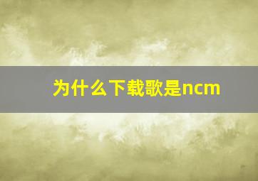 为什么下载歌是ncm