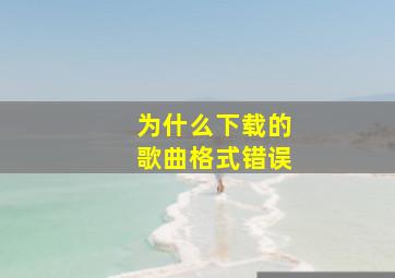 为什么下载的歌曲格式错误