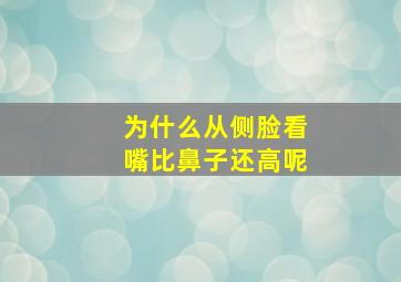 为什么从侧脸看嘴比鼻子还高呢