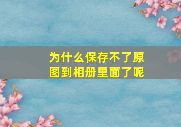 为什么保存不了原图到相册里面了呢