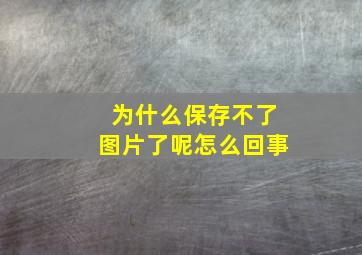 为什么保存不了图片了呢怎么回事