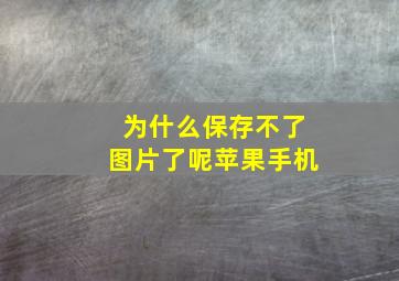 为什么保存不了图片了呢苹果手机