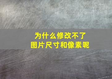 为什么修改不了图片尺寸和像素呢