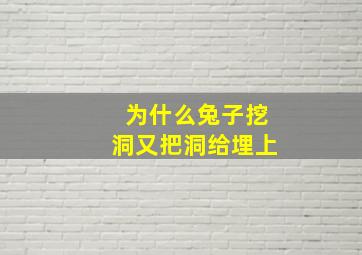 为什么兔子挖洞又把洞给埋上