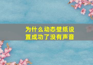 为什么动态壁纸设置成功了没有声音