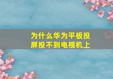 为什么华为平板投屏投不到电视机上