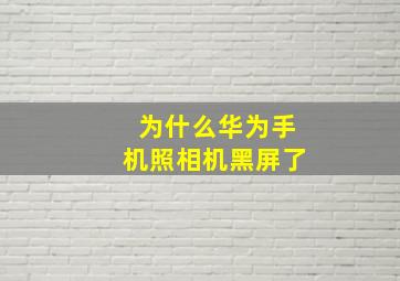 为什么华为手机照相机黑屏了