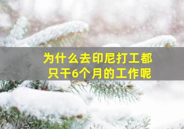 为什么去印尼打工都只干6个月的工作呢