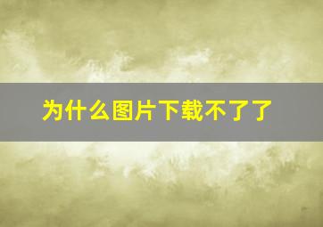 为什么图片下载不了了