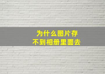 为什么图片存不到相册里面去