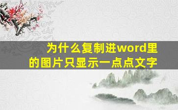 为什么复制进word里的图片只显示一点点文字