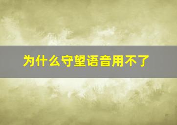 为什么守望语音用不了