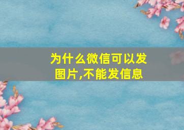 为什么微信可以发图片,不能发信息