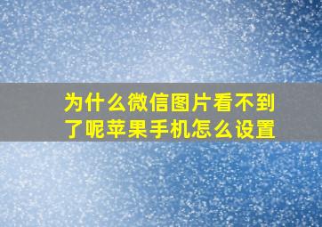 为什么微信图片看不到了呢苹果手机怎么设置