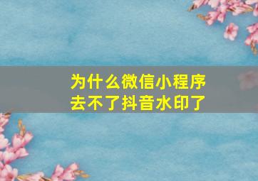 为什么微信小程序去不了抖音水印了