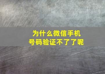 为什么微信手机号码验证不了了呢