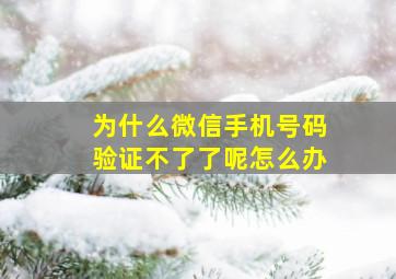 为什么微信手机号码验证不了了呢怎么办