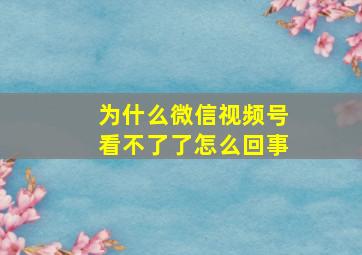 为什么微信视频号看不了了怎么回事