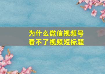 为什么微信视频号看不了视频短标题