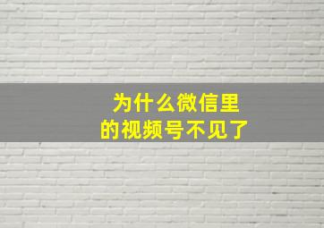 为什么微信里的视频号不见了