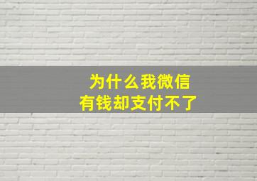 为什么我微信有钱却支付不了