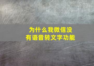 为什么我微信没有语音转文字功能