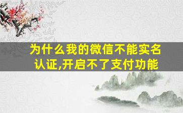 为什么我的微信不能实名认证,开启不了支付功能