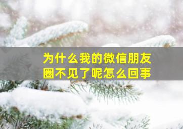 为什么我的微信朋友圈不见了呢怎么回事