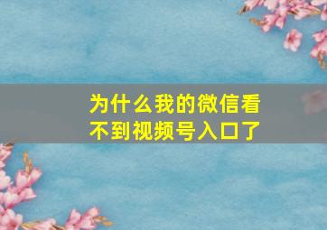 为什么我的微信看不到视频号入口了