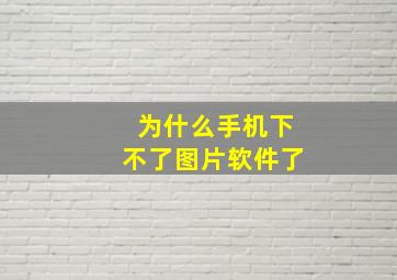 为什么手机下不了图片软件了