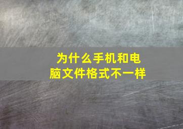 为什么手机和电脑文件格式不一样