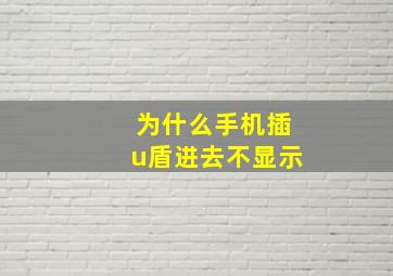 为什么手机插u盾进去不显示