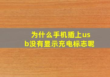 为什么手机插上usb没有显示充电标志呢