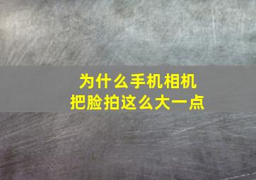 为什么手机相机把脸拍这么大一点