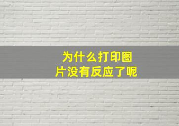 为什么打印图片没有反应了呢