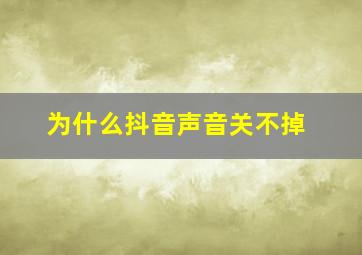 为什么抖音声音关不掉